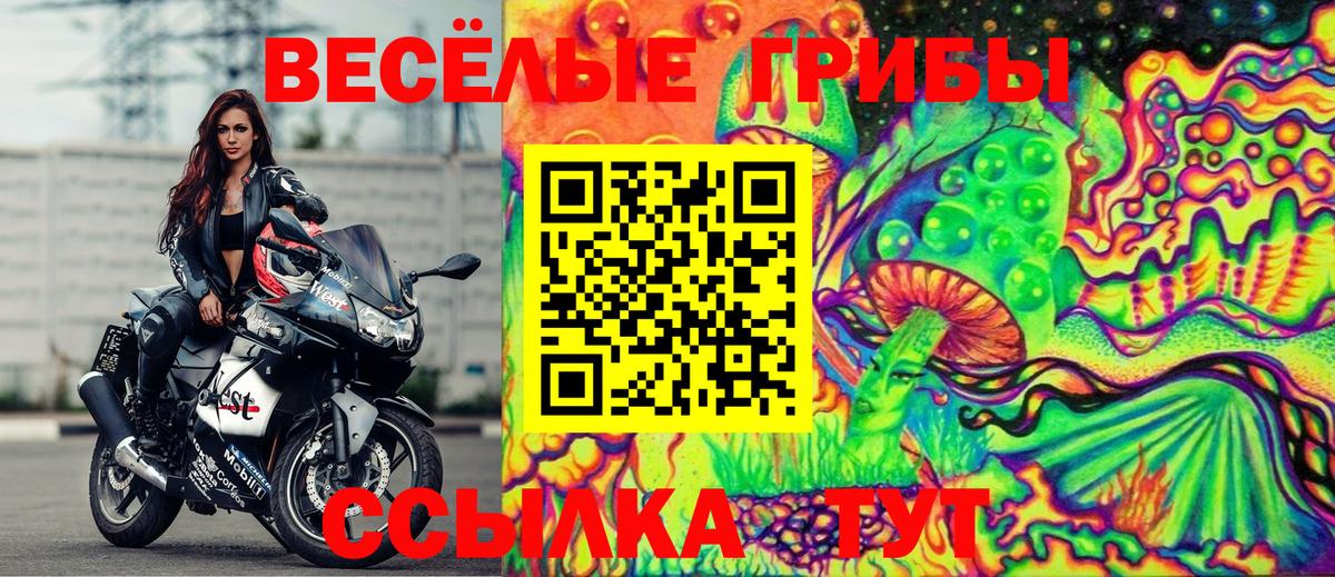 Меф МЯУ МЯУ   ГАШ  Конопля  Корсаков  Вход с VPN 