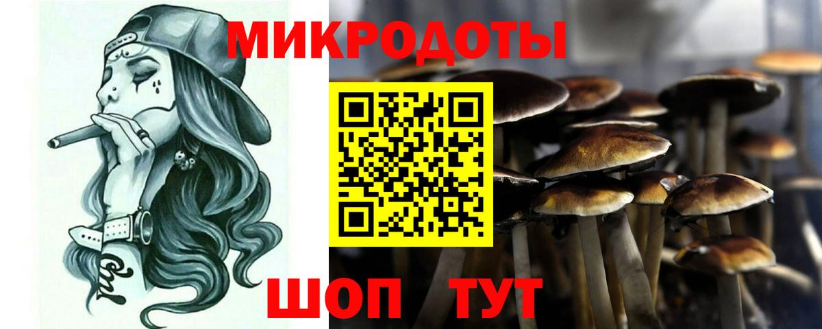 Корсаков  купить закладку  Вход с VPN  Псилоцибиновые грибы Magic Shrooms 